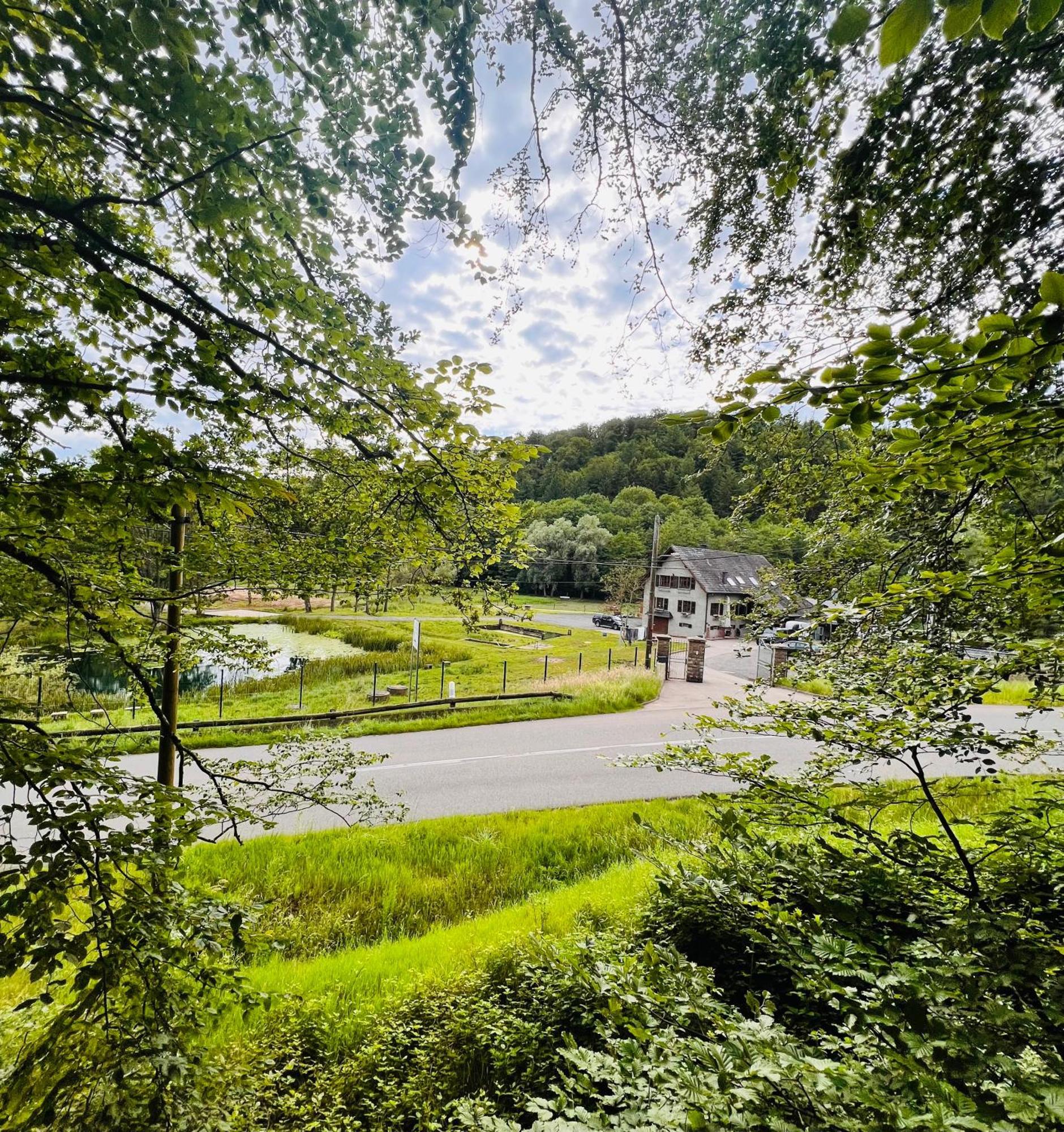 Maison D'Hotes En Pleine Nature Avec Chevaux Soucht Экстерьер фото